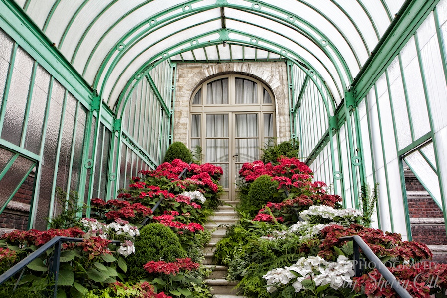 Belgium Royal Greenhouse
