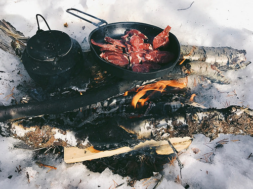 reindeer meat, lunch, campfire, sami culture, lapland, sweden