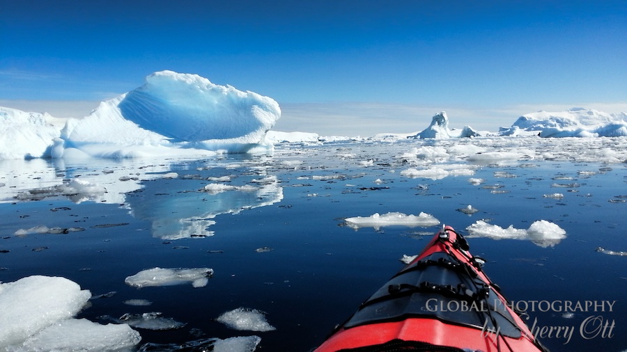 kayak antarctica