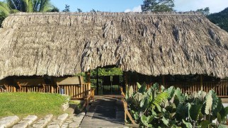 Pooks Hill Belize Jungle Lodge