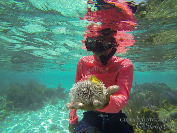 Belize Snorkeling Silk Cayes Placencia