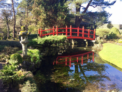 bridge of life, japanese garden, irish national stud & gardens, kildare, ireland