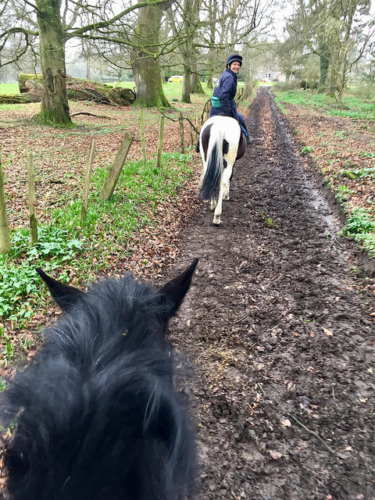 horse riding holiday castle leslie, castle leslie equestrian center, castle leslie equestrian centre, off road hacking