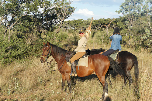 cecile auersperg, out in africa encounters, south africa, horse safari