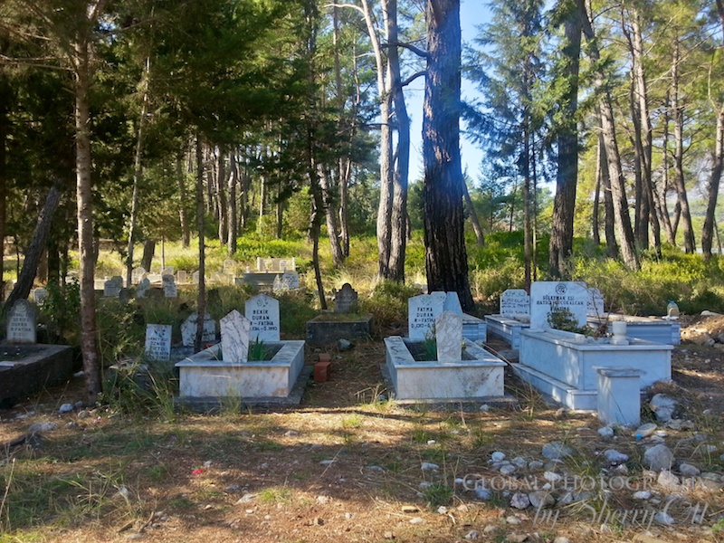 Cemetery olympus