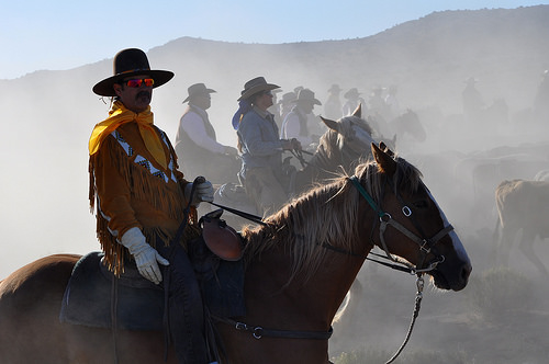cowboy, horseback riding, reno cattle drive, nevada, horse, reno rodeo