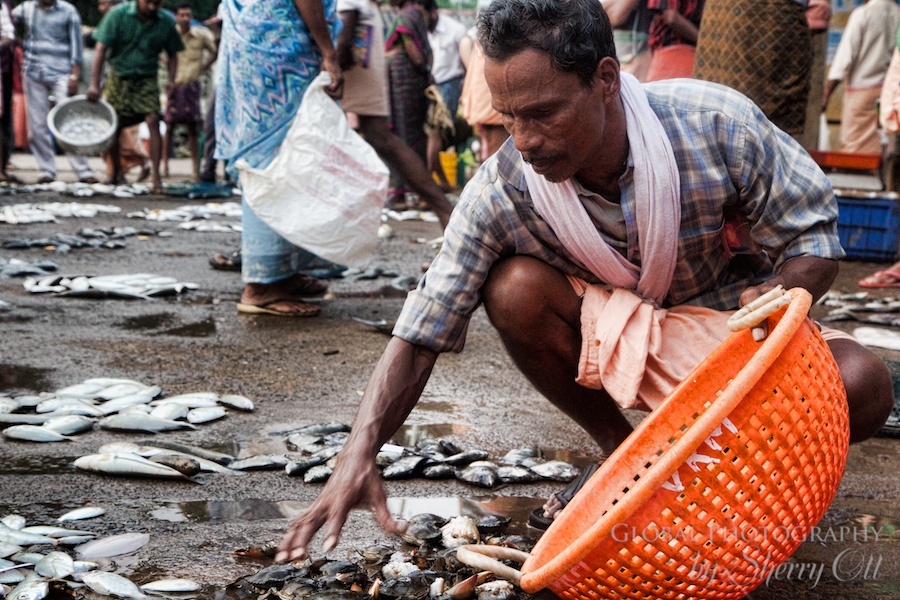 fish market india