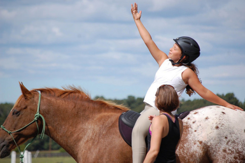 equine yoga, horse yoga, yoga on horseback