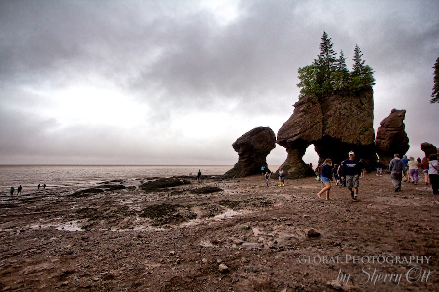 Bay of Fundy Hopewell Rocks