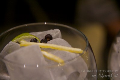 how to make a gin and tonic
