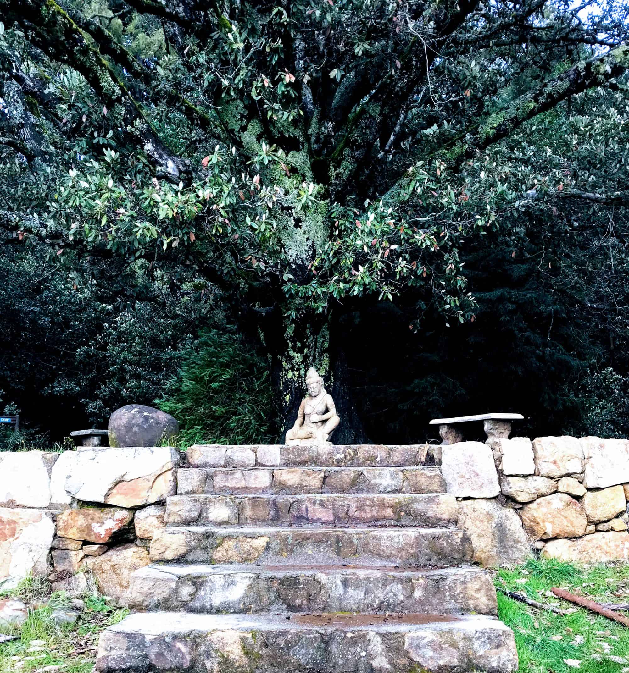 Mount Madonna Adyashanti retreat