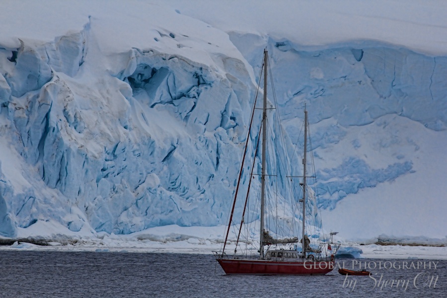 sailboat antarctica