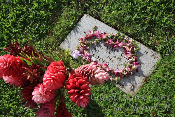 Lei left on a gravesite in the Punch Bowl