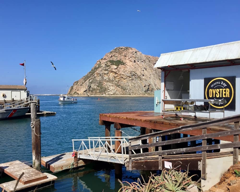 Morro Bay Oyster Company farm oysters locally and supply top restaurants