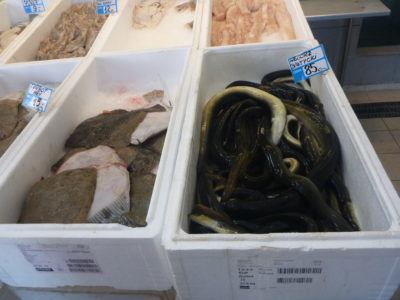 Fish at Gdynia Market