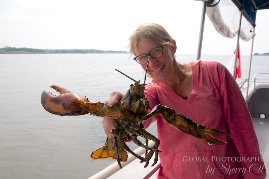 Canadian Lobster Fishing charter PEI Canada