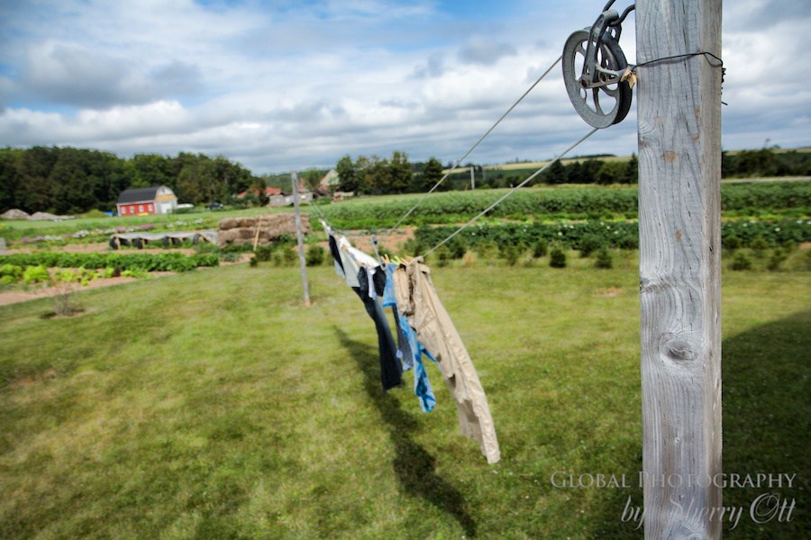 laundry drying at the farm