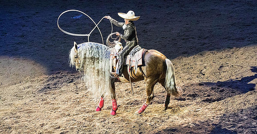 charro, horse, palomino, san antonio rodeo, san antonio, texas