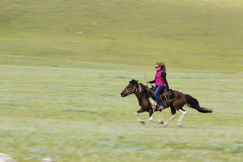 sarah cornellier, mongolia, horse trek, mandal mountain, horse, horseback riding
