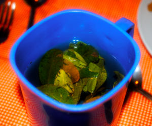 Coca tea, served daily and nightly by our cook on our Machu Picchu trek