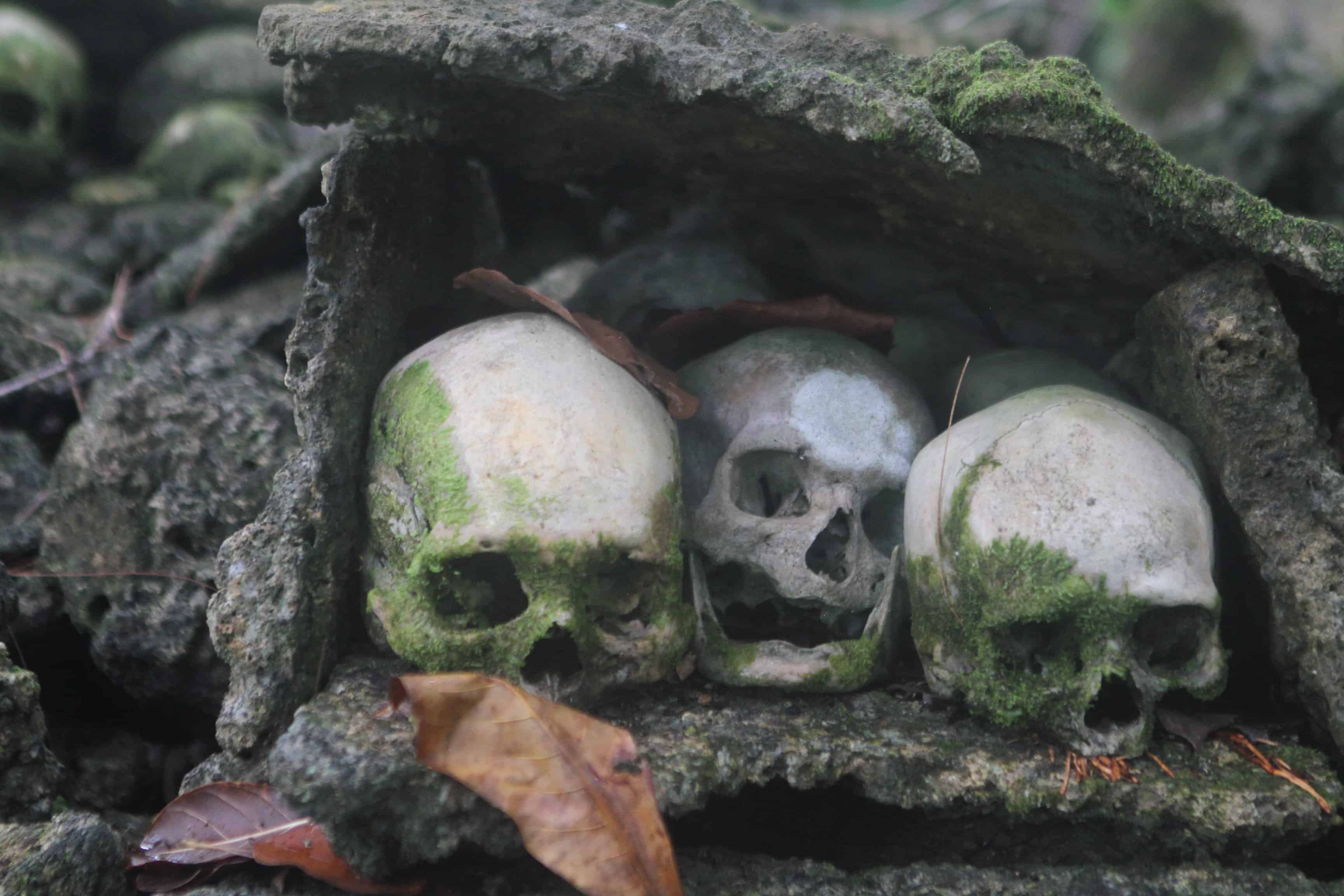 Skull Island Solomon Islands art