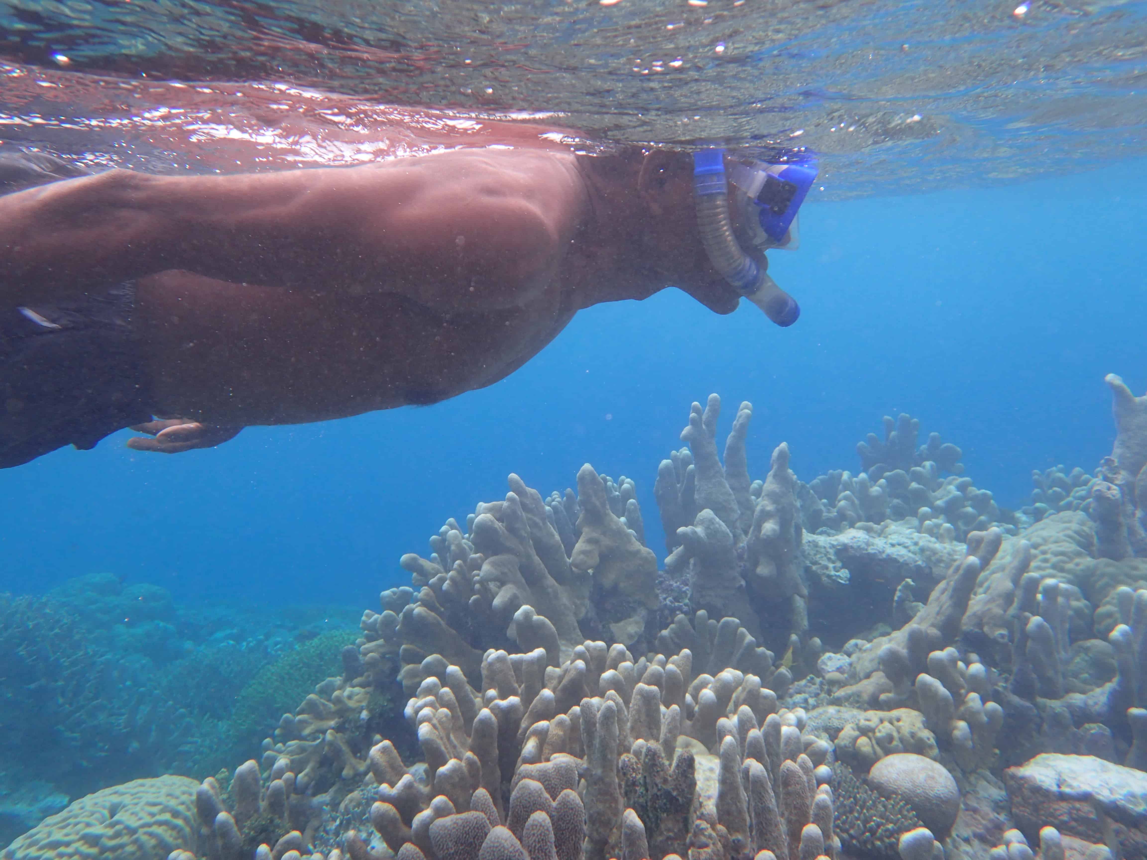 Solomon Islands snorkeling diving