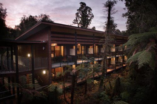 Te Waonui Forest Retreat Guide to New Zealand