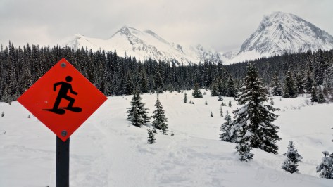 Snowshoeing trails marked all over Alberta