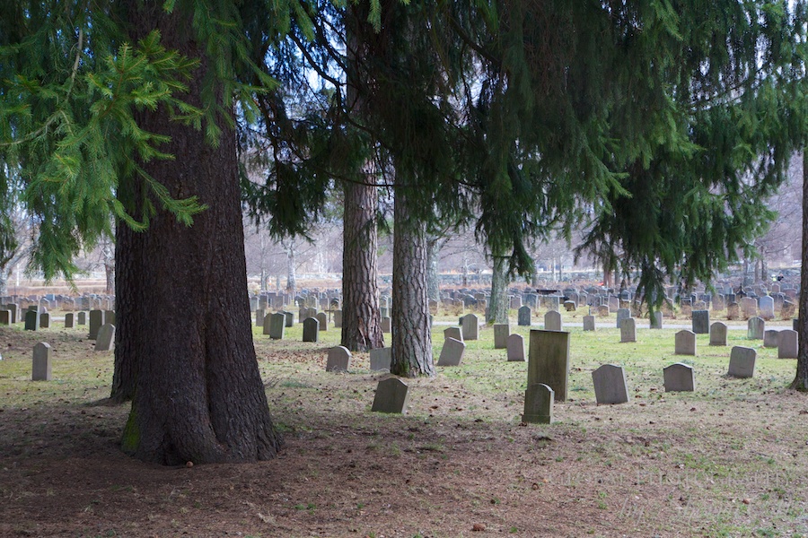 Skogskyrkogården  photos