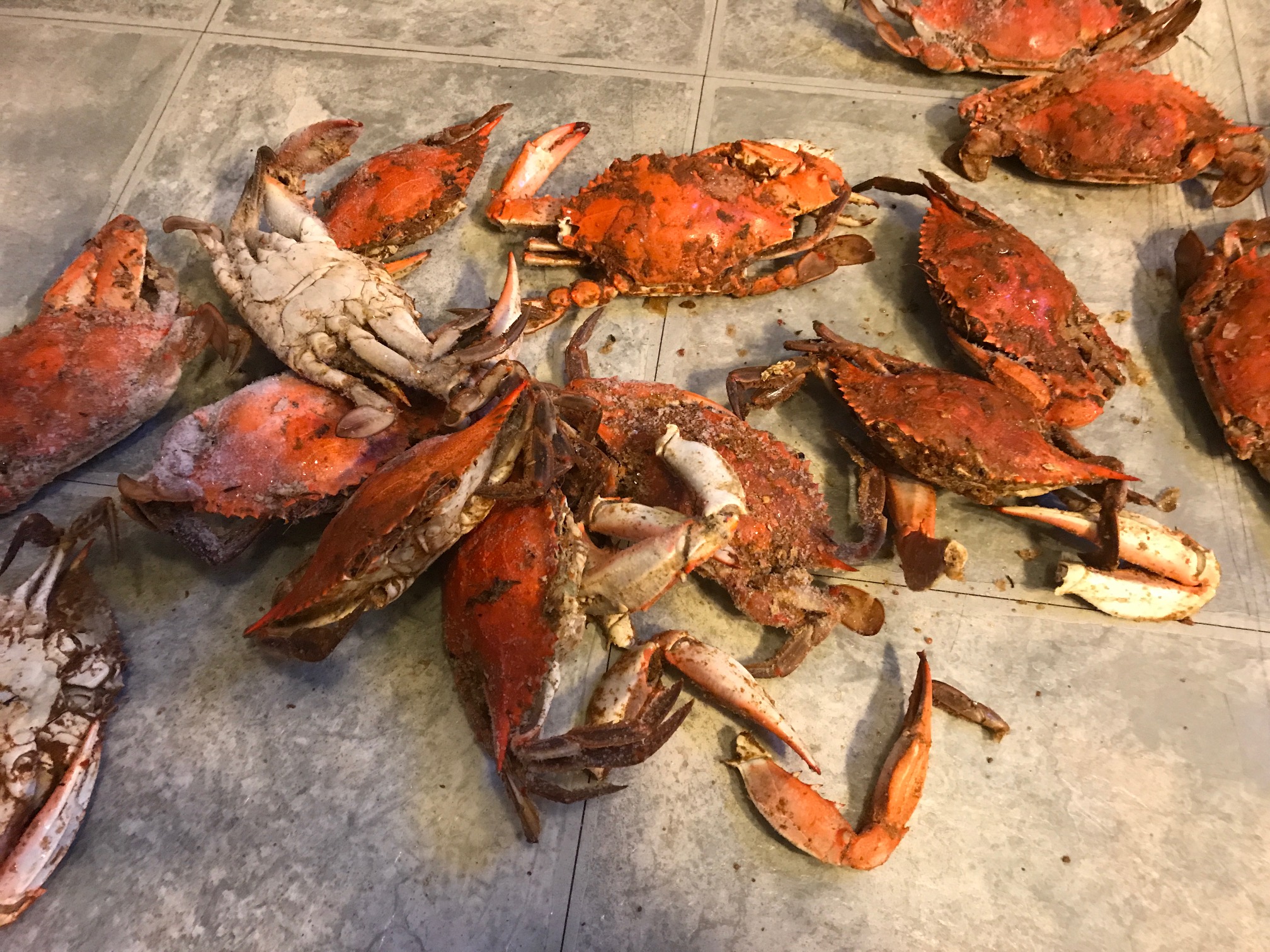 Maryland crabs