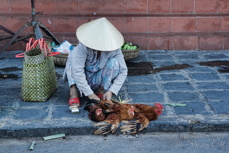market chicken vietnam