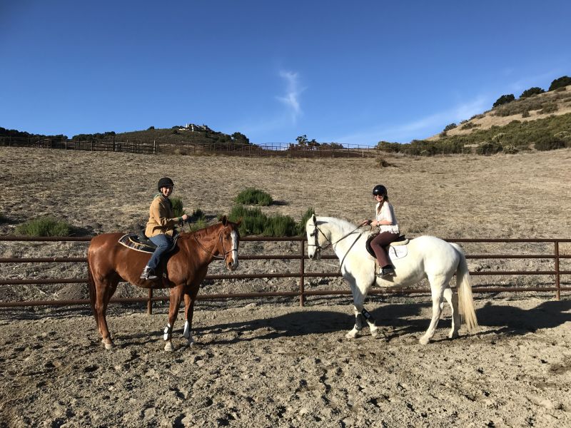 Meadow Hill Farm horse riding lessons