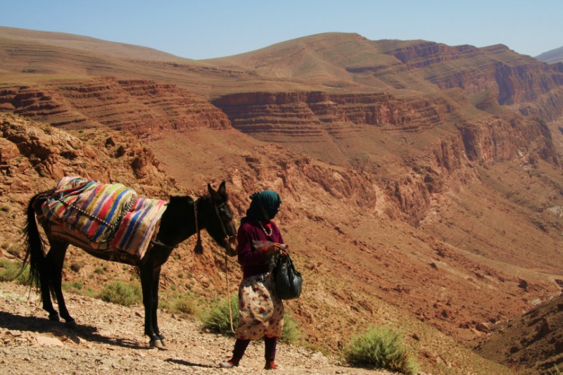 Berber Woman with her Donkey