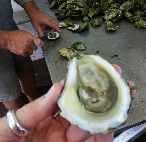 raw oyster
