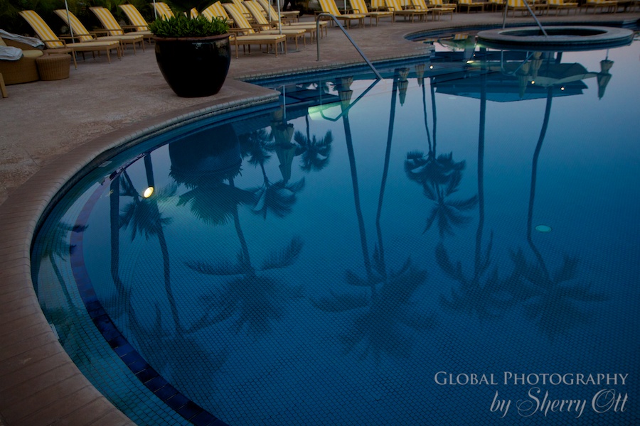 Palm trees reflect in Manele Bay Resort pool