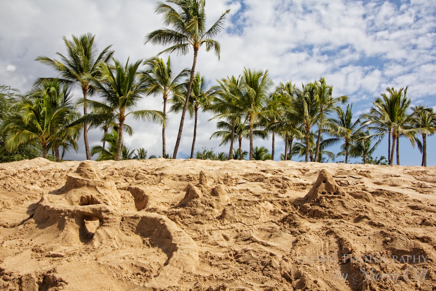 sand castles and palm trees