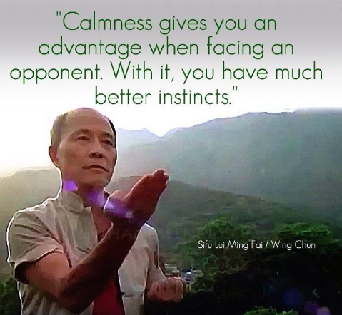martial arts calm