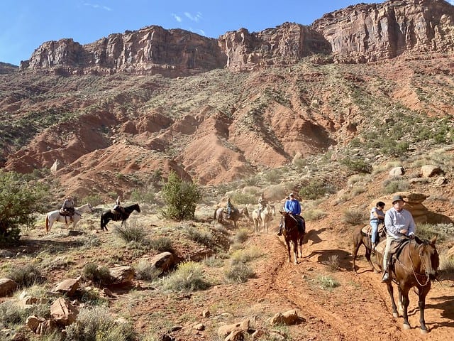 Love Horses? Then Head to Moab Utah
