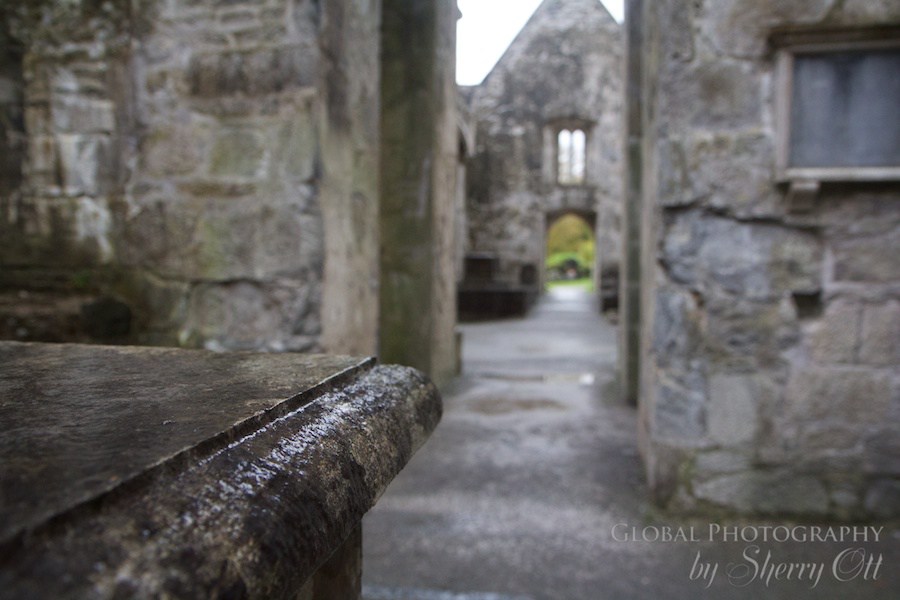 rainy day things to do Ireland muckross abbey