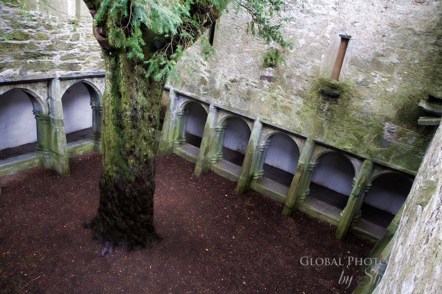 Rainy day muckross abbey ireland