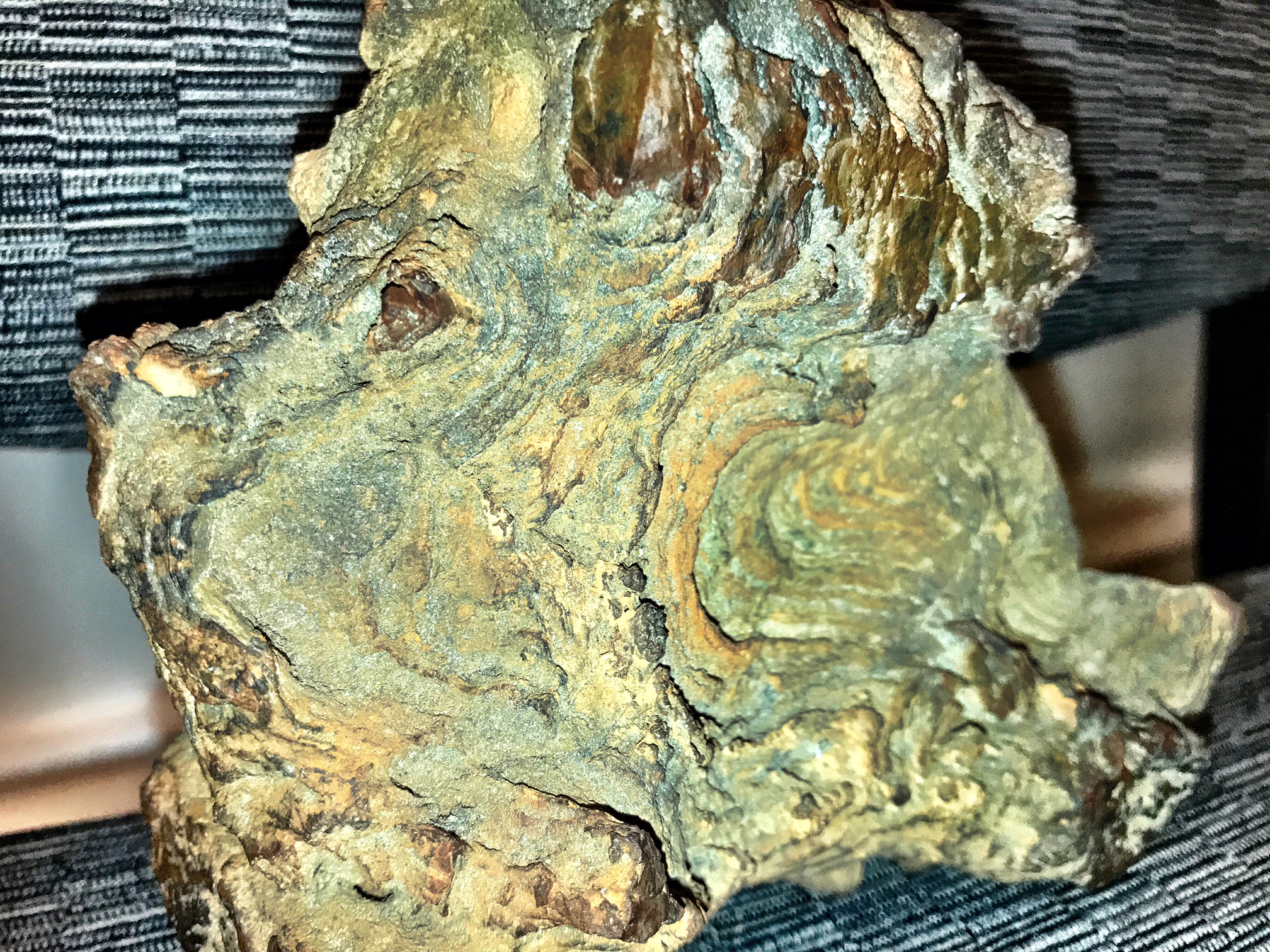 non-duality stromatolite