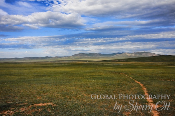 steppe Mongolia