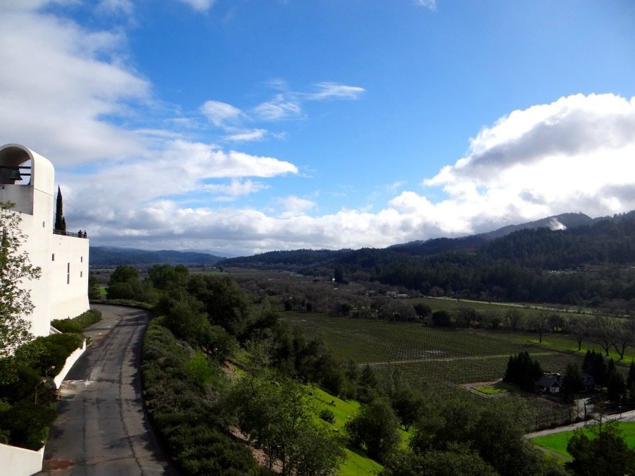 Top vineyards in Napa Valley